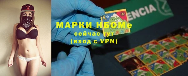 гашик Алзамай