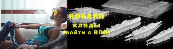 гашик Алзамай